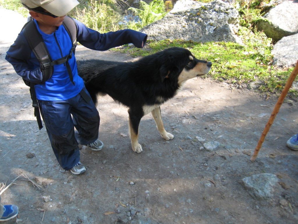 途中で出会った犬 2007 ジョムソン・トレッキング